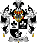 Irish Family Coat of Arms (v.25b) Nelson or Nealson