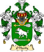 Irish Family Coat of Arms (v.25a) O'Hanly