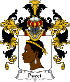 Italian Family Coat of Arms (v.25b) Pucci