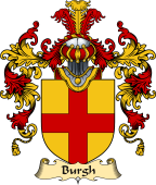 Irish Family Coat of Arms (v.25a) Burgh