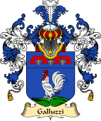 Italian Family Coat of Arms (v.25a) Galluzzi