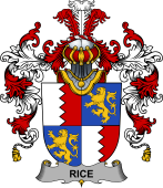 Irish Family Coat of Arms (v.25b) Rice