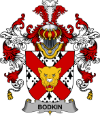 Irish Family Coat of Arms (v.25b) Bodkin