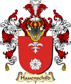 German Coat of Arms (v.25b) Hauenschild