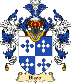 Irish Family Coat of Arms (v.25a) Blood
