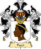 Italian Family Coat of Arms (v.25a) Pucci