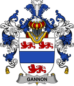 Irish Family Coat of Arms (v.25b) Gannon or McGannon