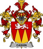 Irish Family Coat of Arms (v.25b) Cashin or McCashine