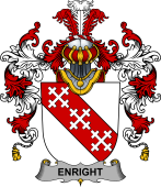 Irish Family Coat of Arms (v.25b) Enright