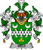 Irish Family Coat of Arms (v.25b) Weld