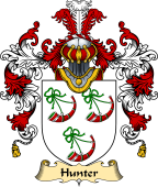 Irish Family Coat of Arms (v.25a) Hunter