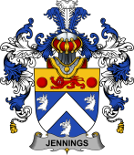 Irish Family Coat of Arms (v.25b) Jennings or Jennyns