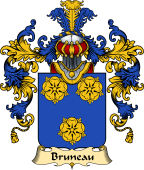 French Family Coat of Arms (v.25) Bruneau