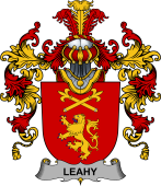 Irish Family Coat of Arms (v.25b) Leahy or O'Lahy