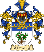 Irish Family Coat of Arms (v.25a) O'Dowling
