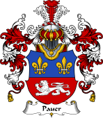 German Wappen Coat of Arms (v.25) Pauer