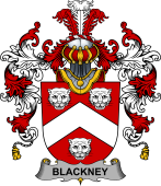 Irish Family Coat of Arms (v.25b) Blackney