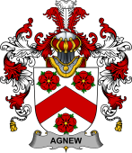 Irish Family Coat of Arms (v.25b) Agnew