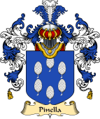 Italian Family Coat of Arms (v.25a) Pinella