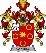 Irish Family Coat of Arms (v.25b) Cantell