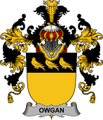 Irish Family Coat of Arms (v.25b) Owgan