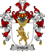 Irish Family Coat of Arms (v.25b) Halie or O'Halie