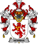 Irish Family Coat of Arms (v.25b) Newman