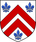 Irish Family Shield for Bamber