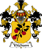 German Wappen Coat of Arms (v.25) Vitzhum