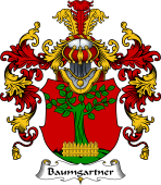 German Wappen Coat of Arms (v.25) Baumgartner