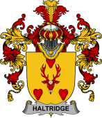 Irish Family Coat of Arms (v.25b) Haltridge