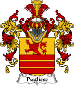 Italian Family Coat of Arms (v.25b) Pugliese