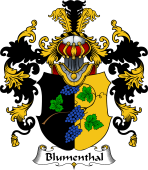 German Wappen Coat of Arms (v.25) Blumenthal