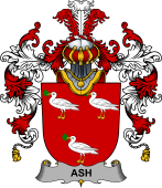 Irish Family Coat of Arms (v.25b) Ash