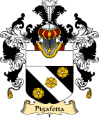 Italian Family Coat of Arms (v.25a) Pigafetta