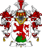 German Wappen Coat of Arms (v.25) Sauer