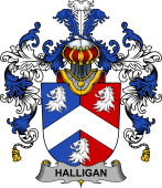 Irish Family Coat of Arms (v.25b) Halligan or O'Halligan