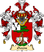 Irish Family Coat of Arms (v.25a) Owens
