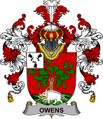 Irish Family Coat of Arms (v.25b) Owens
