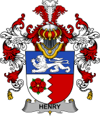 Irish Family Coat of Arms (v.25b) Henry or O'Henry