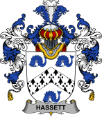 Irish Family Coat of Arms (v.25b) Hassett or Hasset
