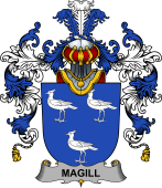 Irish Family Coat of Arms (v.25b) Magill