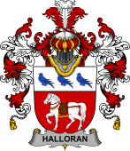 Irish Family Coat of Arms (v.25b) Halloran or O'Halloran