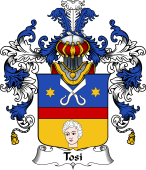 Italian Family Coat of Arms (v.25b) Tosi