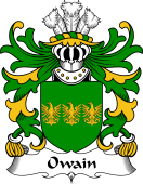 Welsh Coat of Arms for Owain (GWYNEDD)