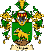 Irish Family Coat of Arms (v.25a) O'Rogan