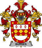 Irish Family Coat of Arms (v.25b) Burges