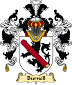 Irish Family Coat of Arms (v.25a) Burnell