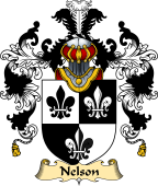 Irish Family Coat of Arms (v.25a) Nelson or Nealson