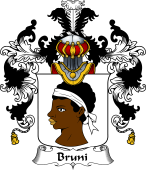 Italian Family Coat of Arms (v.25b) Bruni